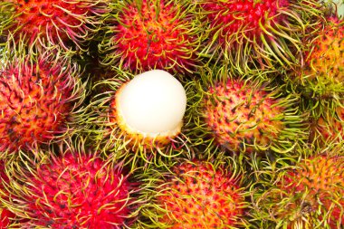 Rambutan, Tay meyve