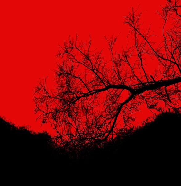 Silhouette arbre mort fond — Photo