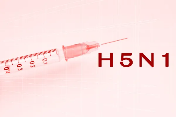 H5N1 Virus,Avian Influenza Concept — Stock Photo, Image