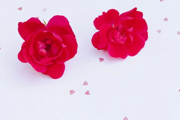 織り目加工紙の上の 2 つのバラ — ストック写真