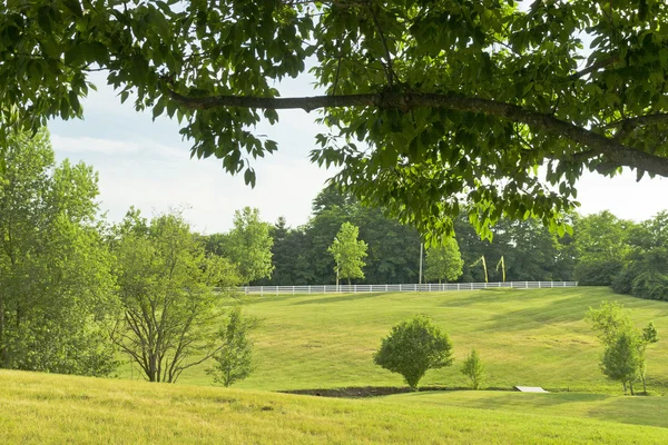 Land omgeving bij zomer — Stockfoto