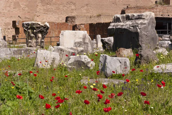 Ruines du Forum romain. Rome, Italie — Photo