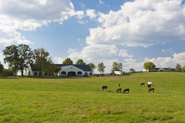 Land omgivning — Stockfoto