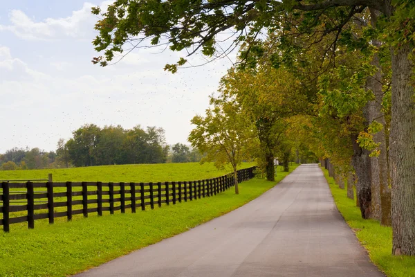 Country scenery on beginning of autumn season — Stock Photo, Image