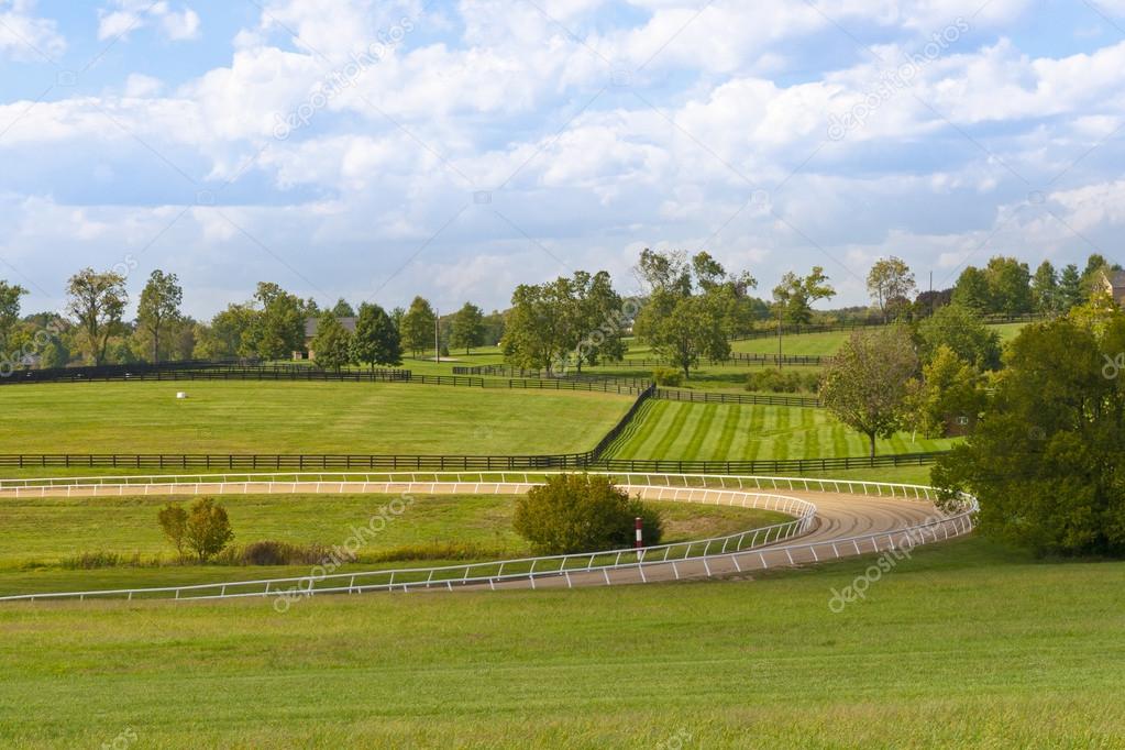 Country scenery with horse training track