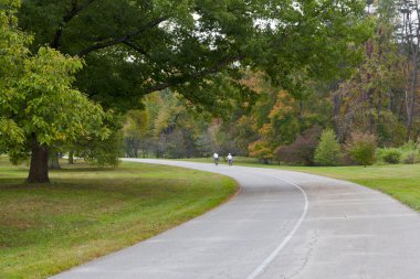Sonbahar parkında yol