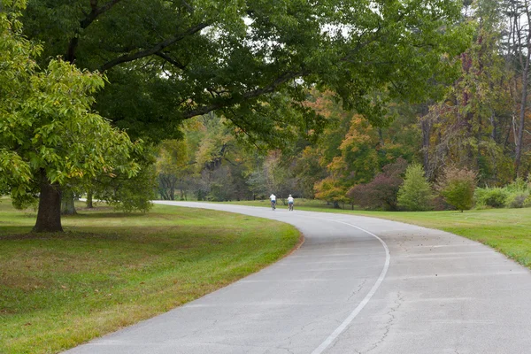 Straße im Herbstpark — Stockfoto