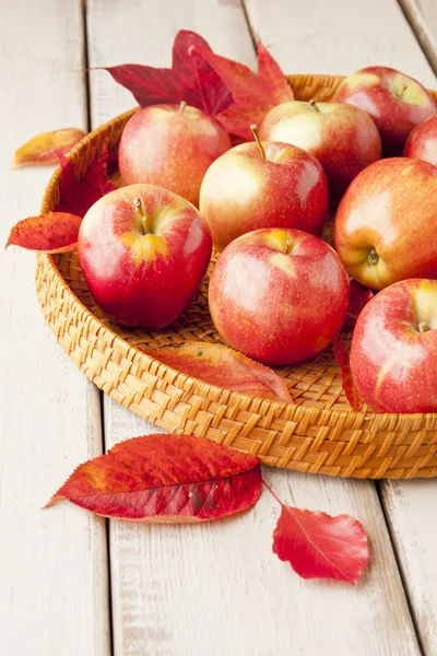 Plateau avec pommes d'automne sur table en bois rustique — Photo