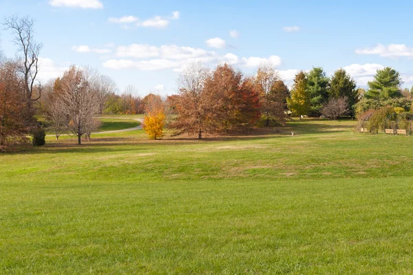 Осенний парк с зеленым лугом — стоковое фото