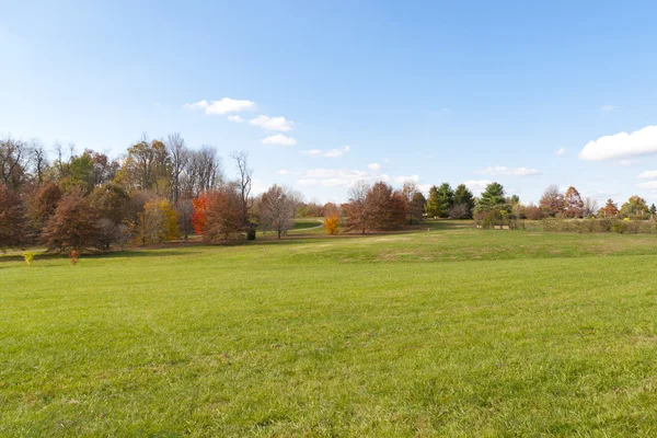 Parco autunnale con prato verde sulla fronte — Foto Stock