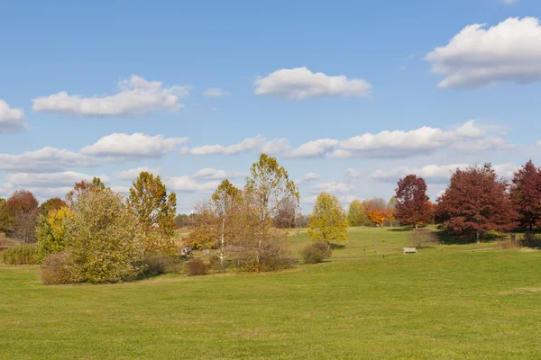 Herbstpark mit grüner Wiese auf der Stirn — Stockfoto