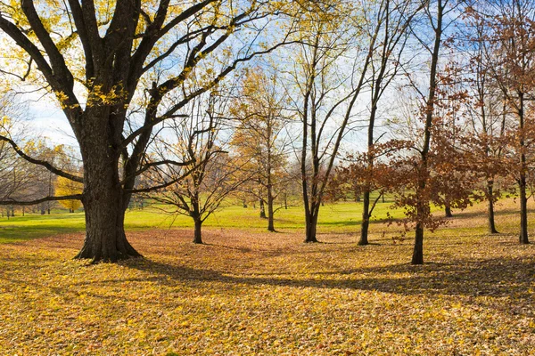 Sent på hösten på landsbygden — Stockfoto
