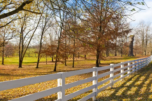 Sent på hösten på landsbygden. — Stockfoto