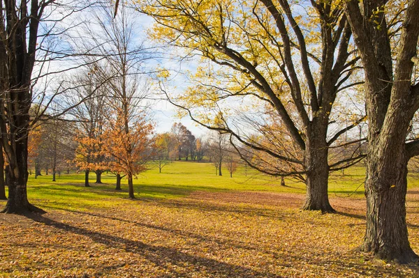 Finales de otoño en el campo . — Foto de Stock