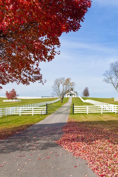 Fine autunno in campagna . — Foto Stock