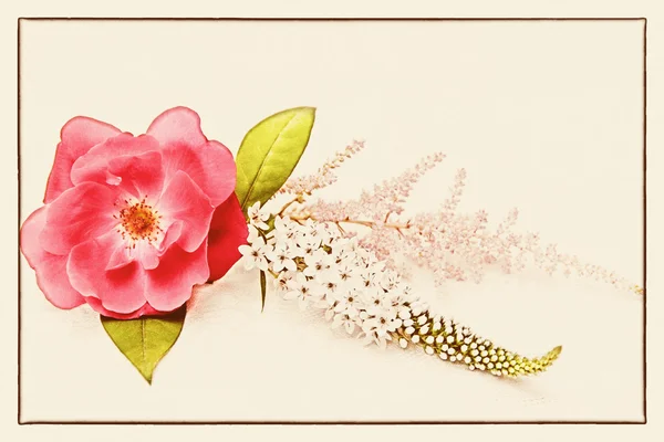 Rosa na textura de linho. conceito de cartão vintage . — Fotografia de Stock