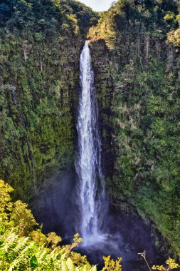 hawaii, büyük ada, ABD Akaka düşer