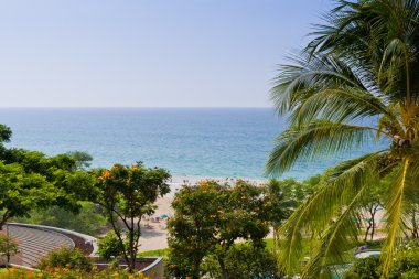 okyanus tropik tatil köyü yemyeşil bir bahçeye görünümü.