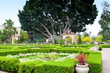 Alcazar Gardens in Balboa Park, San Diego. clipart