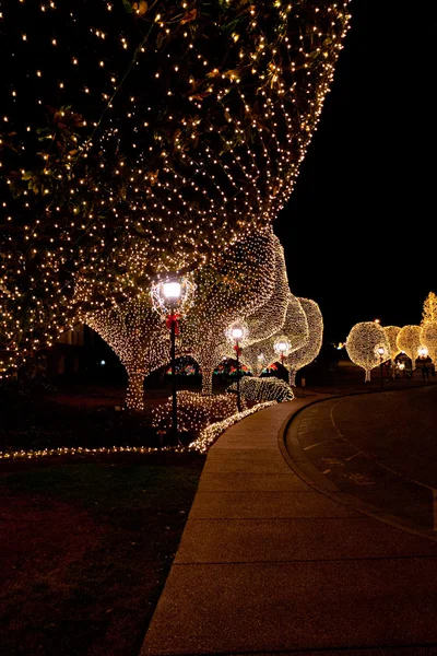 Decoratie op bomen in de nacht voor Kerstmis en Nieuwjaar celebrat — Stockfoto