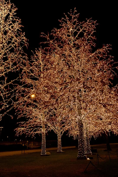 Decoración en los árboles por la noche para la celebración de Navidad y Año Nuevo — Foto de Stock