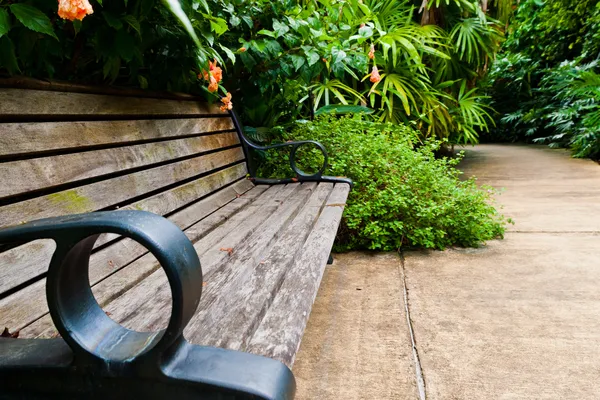 Banco de madeira relaxante no jardim tropical — Fotografia de Stock