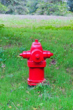 Kırmızı yangın musluğu yaz Park.