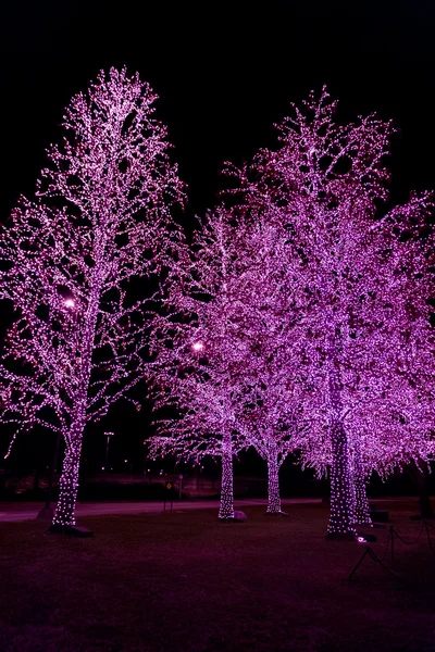 Weihnachts- und Neujahrsdekoration an Bäumen in der Nacht — Stockfoto