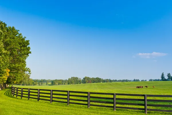 Paisagem rural. Paisagem verão . — Fotografia de Stock