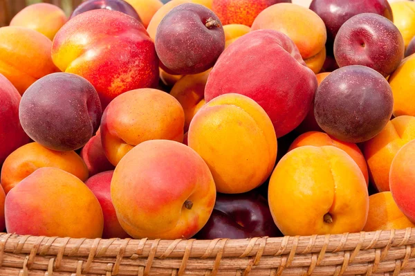 Högen av färgglada sommar frukt. — Stockfoto
