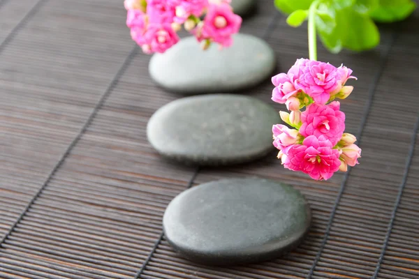 Stones path with flowers for zen spa background, horizontal. sel — Stock Photo, Image
