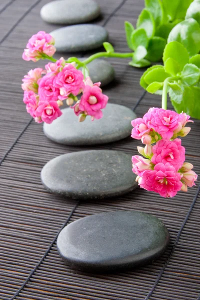 Stones path with flowers for zen spa background, vertical. selec — Stock Photo, Image