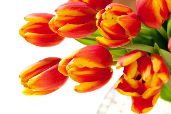 Red tulips bouquet. — Stock Photo, Image