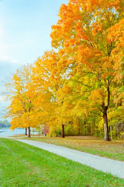 Farbenfroher Herbstpark — Stockfoto