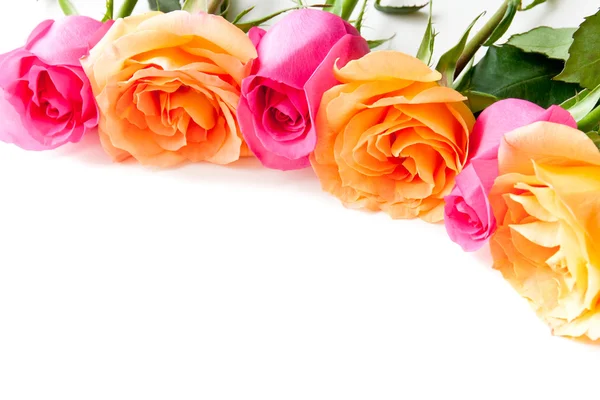 Frontera de hermosas rosas naranjas y rosas rosadas — Foto de Stock