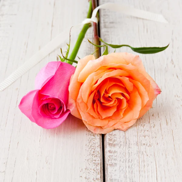 Twee mooie oranje en roze rozen — Stockfoto