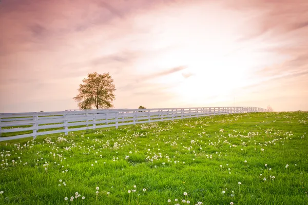 Dramatische avondrood op land site. — Stockfoto