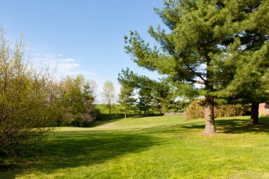 spring Park'ta