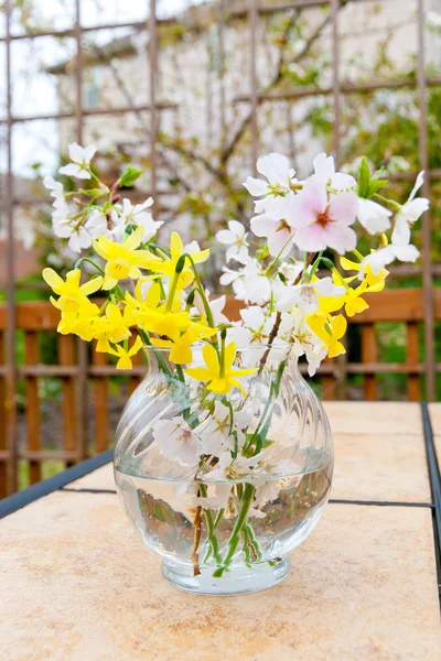 Spring flowers from the garden — Stock Photo, Image