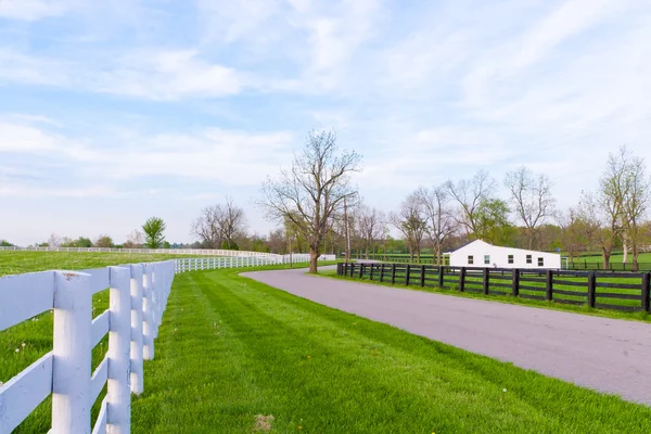 Country road — Stock Photo, Image