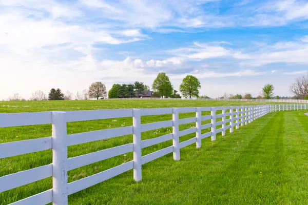 Lente avond op land. — Stockfoto