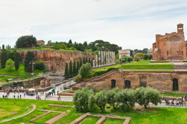 Roma Forumu kalıntıları. Roma, İtalya