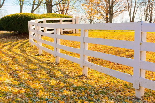 Late herfst op platteland. — Stockfoto