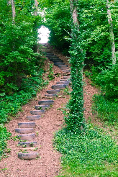 楼梯作旧轮胎中绿色森林. — 图库照片