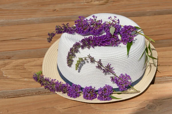 Butterfly bush květu na letní klobouk na zahradu. — Stock fotografie