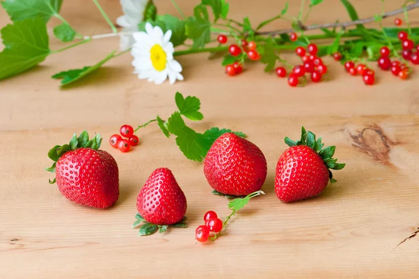 Bahçeden taze strawberryand kırmızı kuş üzümü — Stok fotoğraf