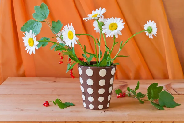 Stilleven met madeliefjebloemen en rode bes — Stockfoto