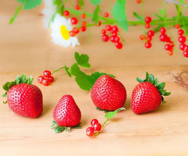 Fresh strawberry and red currant from garden — Stock Photo, Image