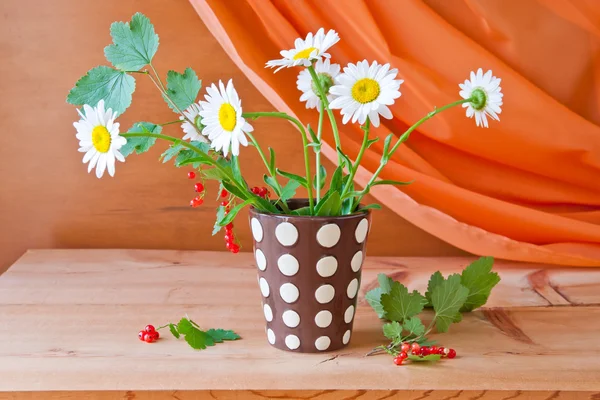 Natureza morta com flores de margarida e passa de Corinto vermelha — Fotografia de Stock