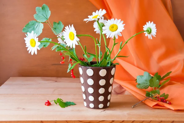 Natürmort papatya çiçek ve Frenk üzümü — Stok fotoğraf